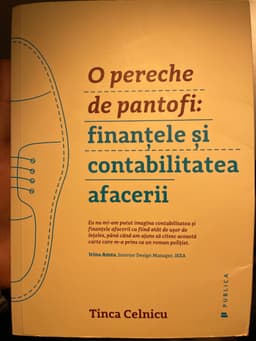 O pereche de pantofi