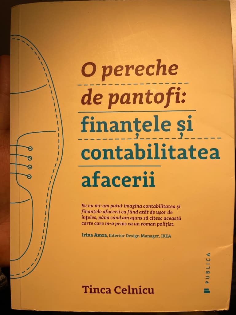 O pereche de pantofi