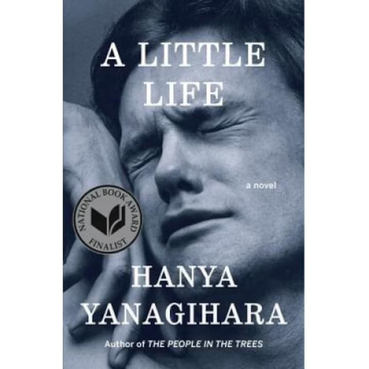 A Little Life