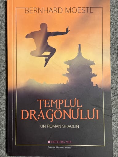 Coperta cărții Templul dragonului