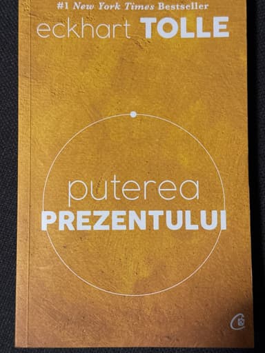 Coperta cărții Puterea prezentului